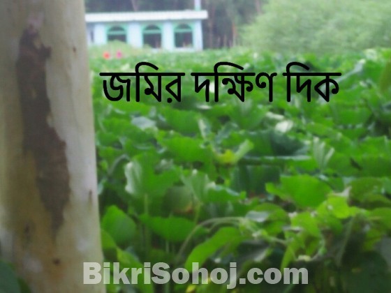 কৃষি / অকৃষি